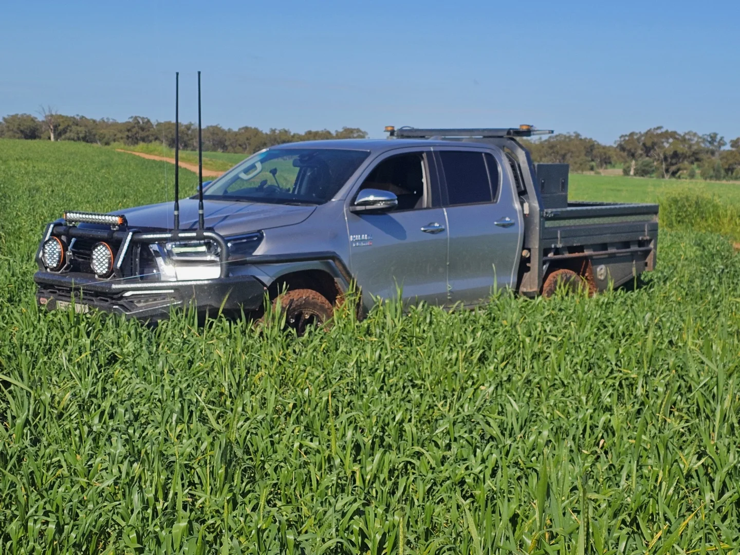 Additional image 9 of 492 Eremeran Road, Condobolin NSW 2877