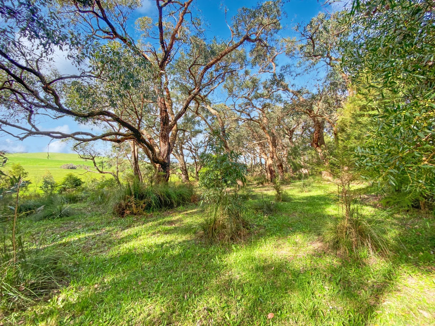 Additional image 12 of 160 Soldiers Road, Fish Creek VIC 3959