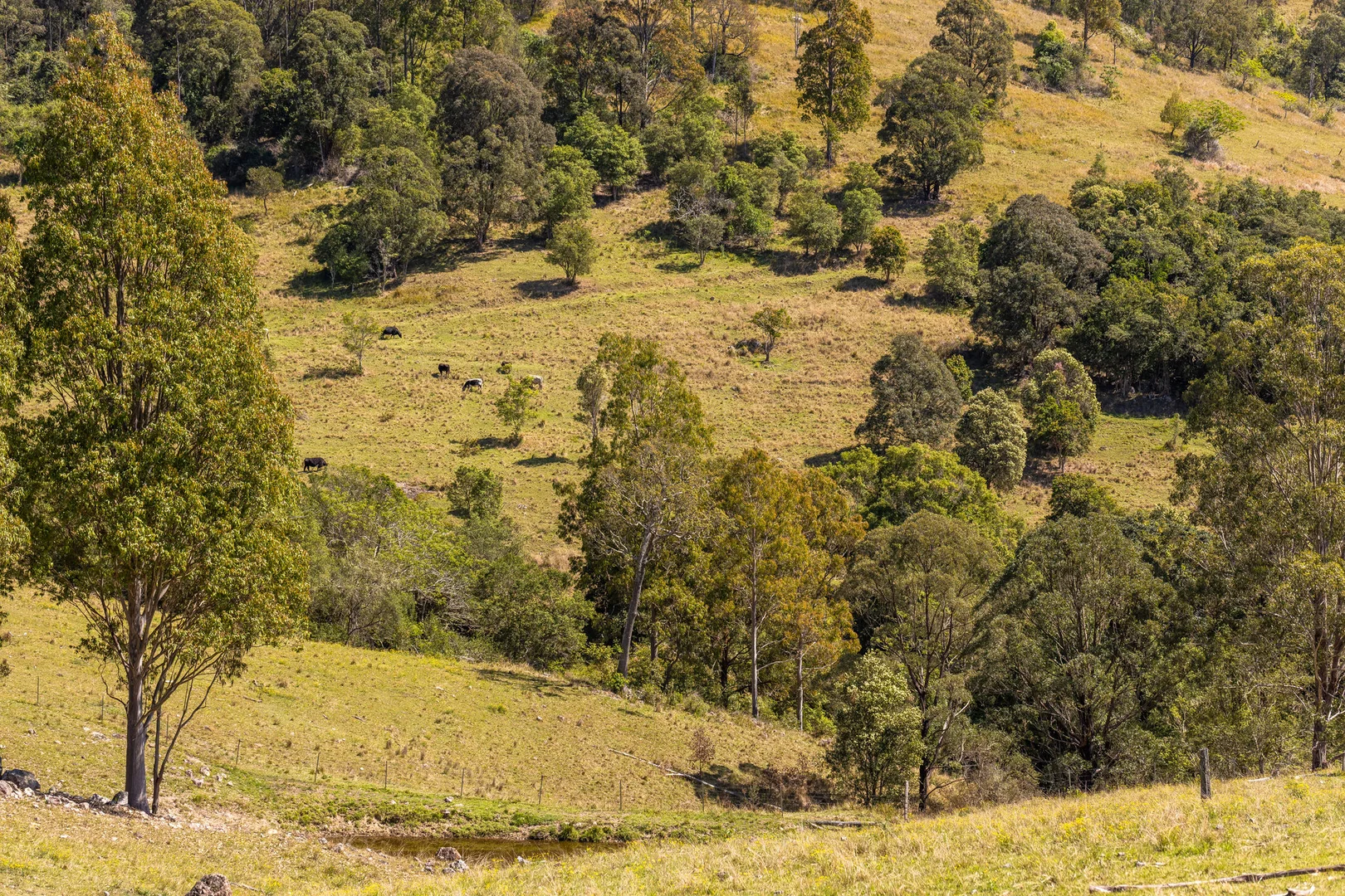 Additional image 13 of 233 Thunderbolts Way, Gloucester NSW 2422