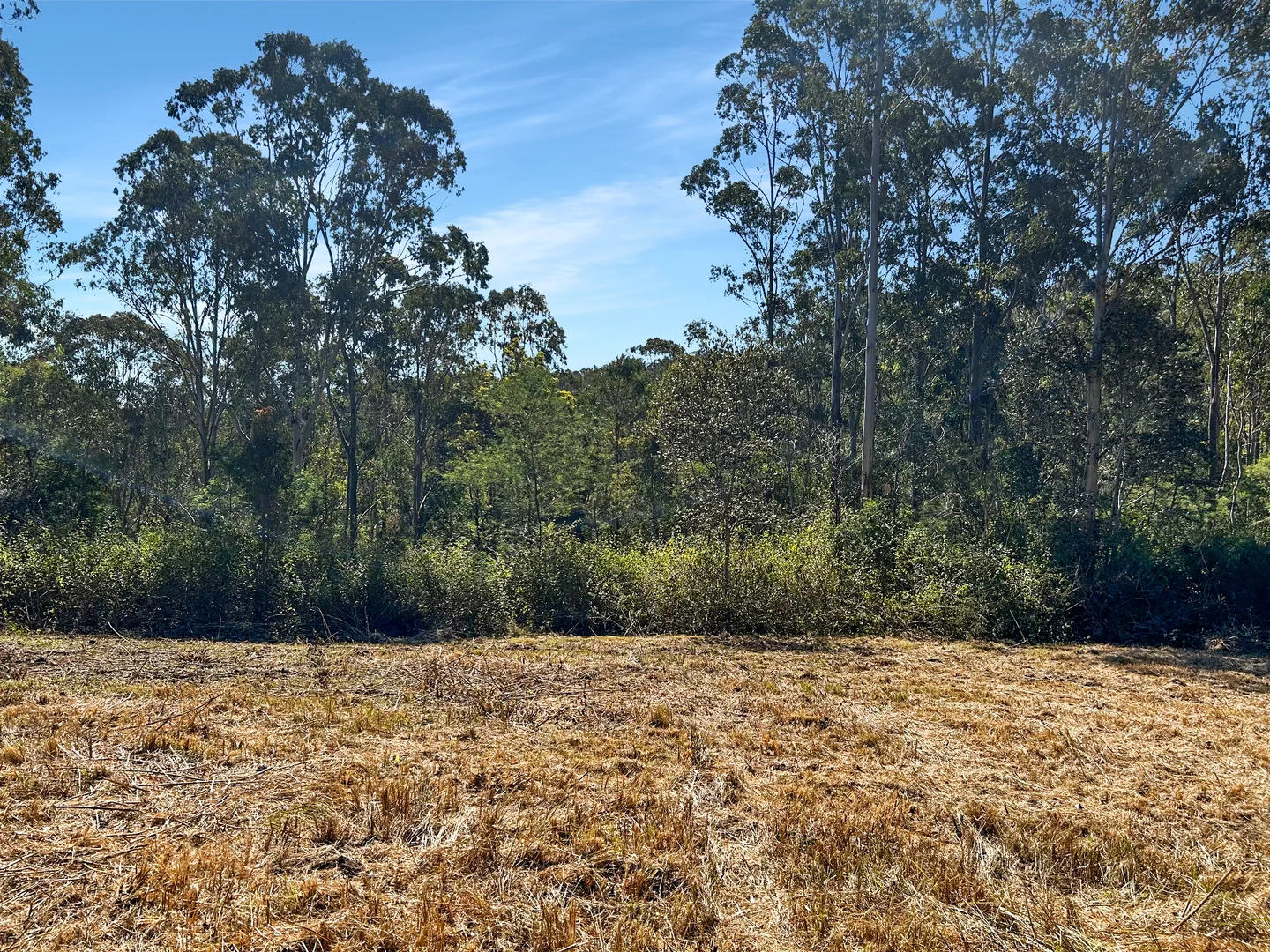 Additional image 9 of 506 Old Lawrence Road, Casino NSW 2470