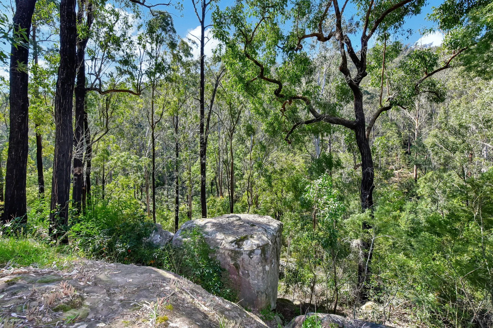 Additional image 27 of 75 L3 Private Access, Laguna NSW 2325