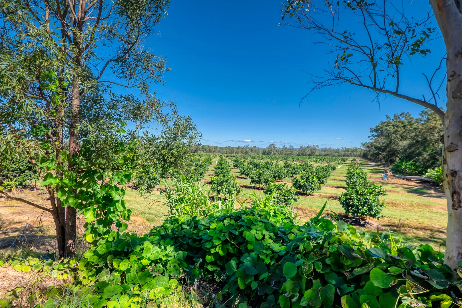 Additional image 21 of 57 Larsens Road, Coominya QLD 4311