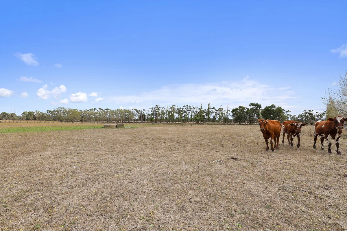 Additional image 21 of 197 Yarragon-Shady Creek Road, Yarragon VIC 3823