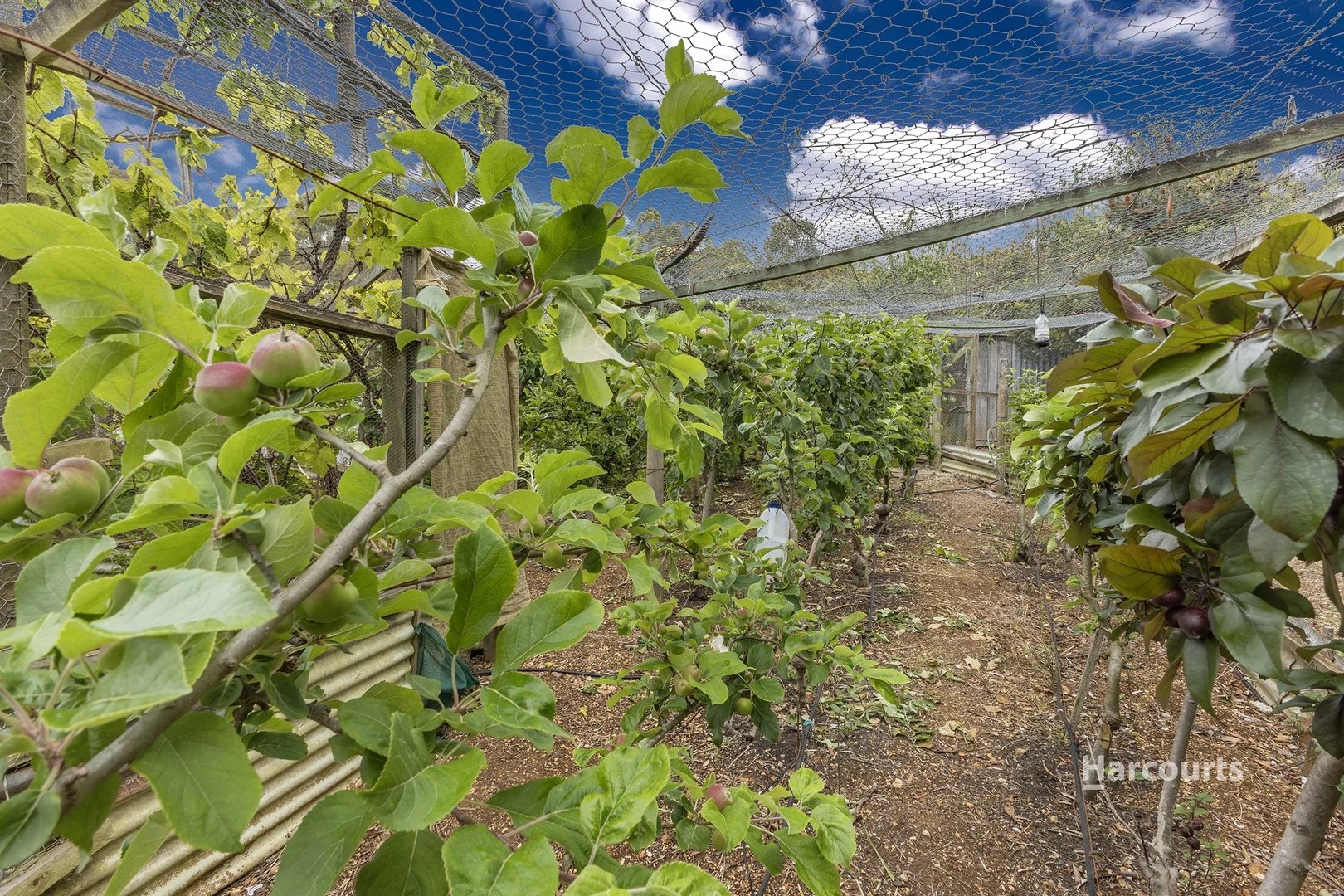 Additional image 31 of 22 Peppermint Drive, Penguin TAS 7316