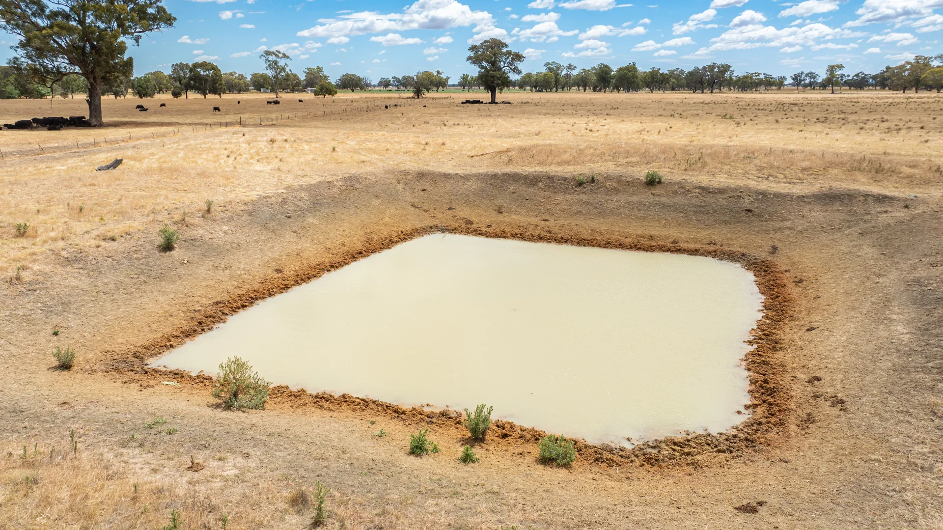 Additional image 15 of 366 Whitehead Street, Corowa NSW 2646