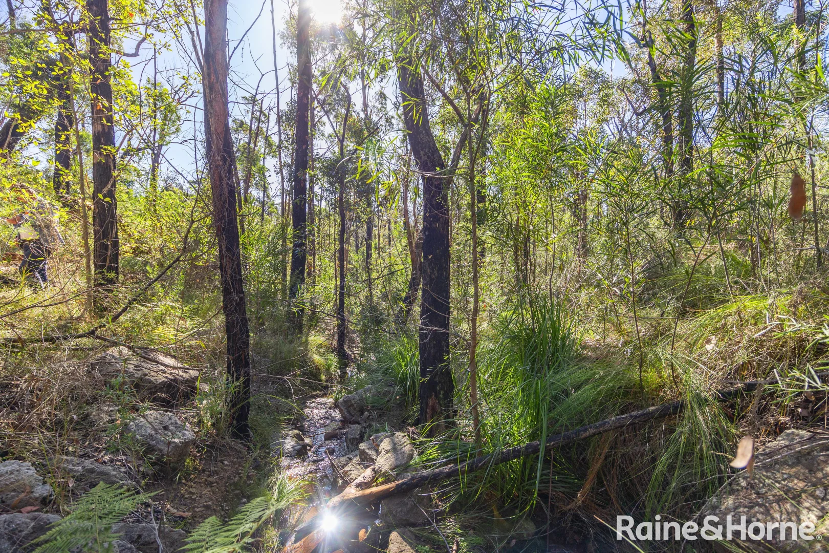 Additional image 9 of Lot 6 of Lot 33 Little Forest Road, Little Forest NSW 2538