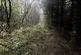 Additional image 7 of Maudland, Rhos, Carmarthenshire SA33