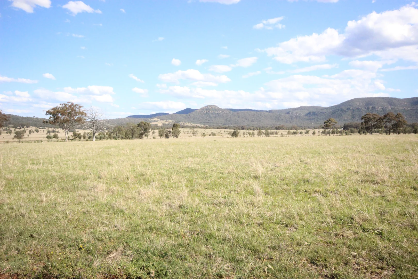 Additional image 33 of 207 Redmanvale Road, Jerrys Plains NSW 2330