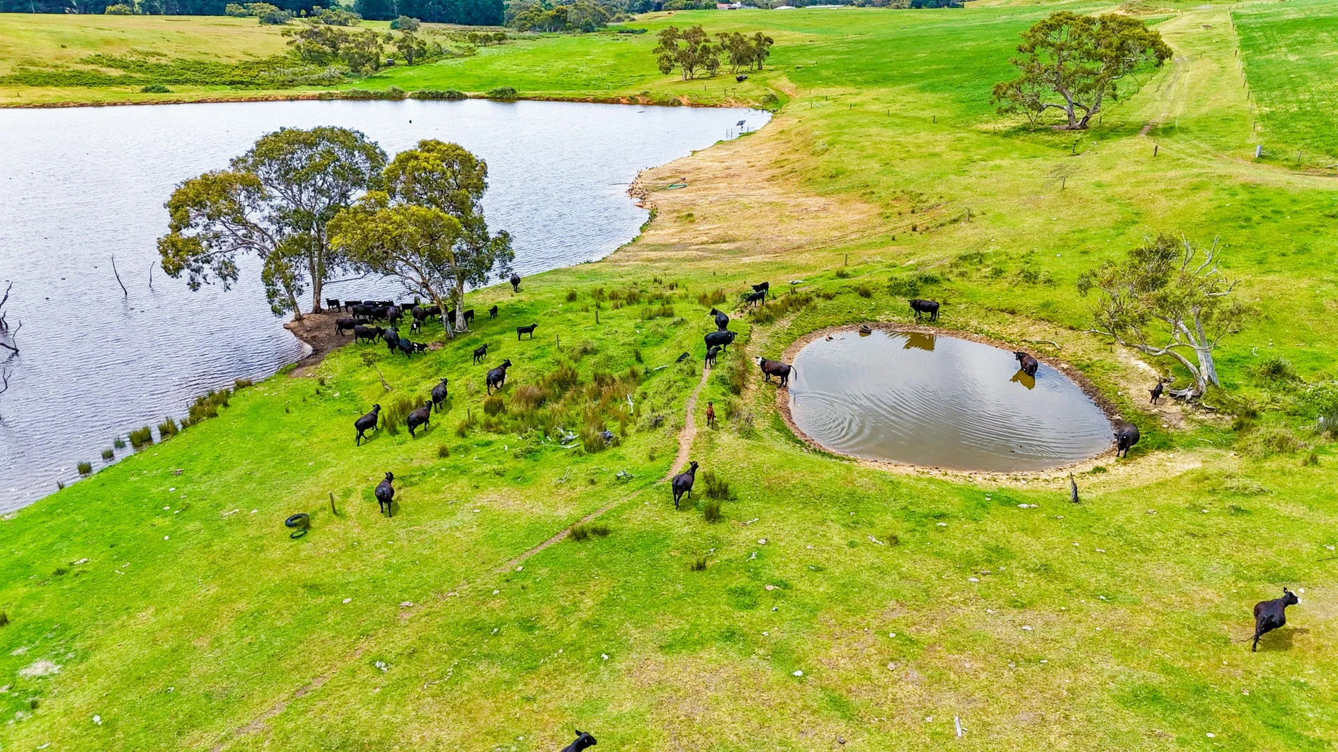 Additional image 6 of 700 Cleland Gully Road, Tooperang SA 5255