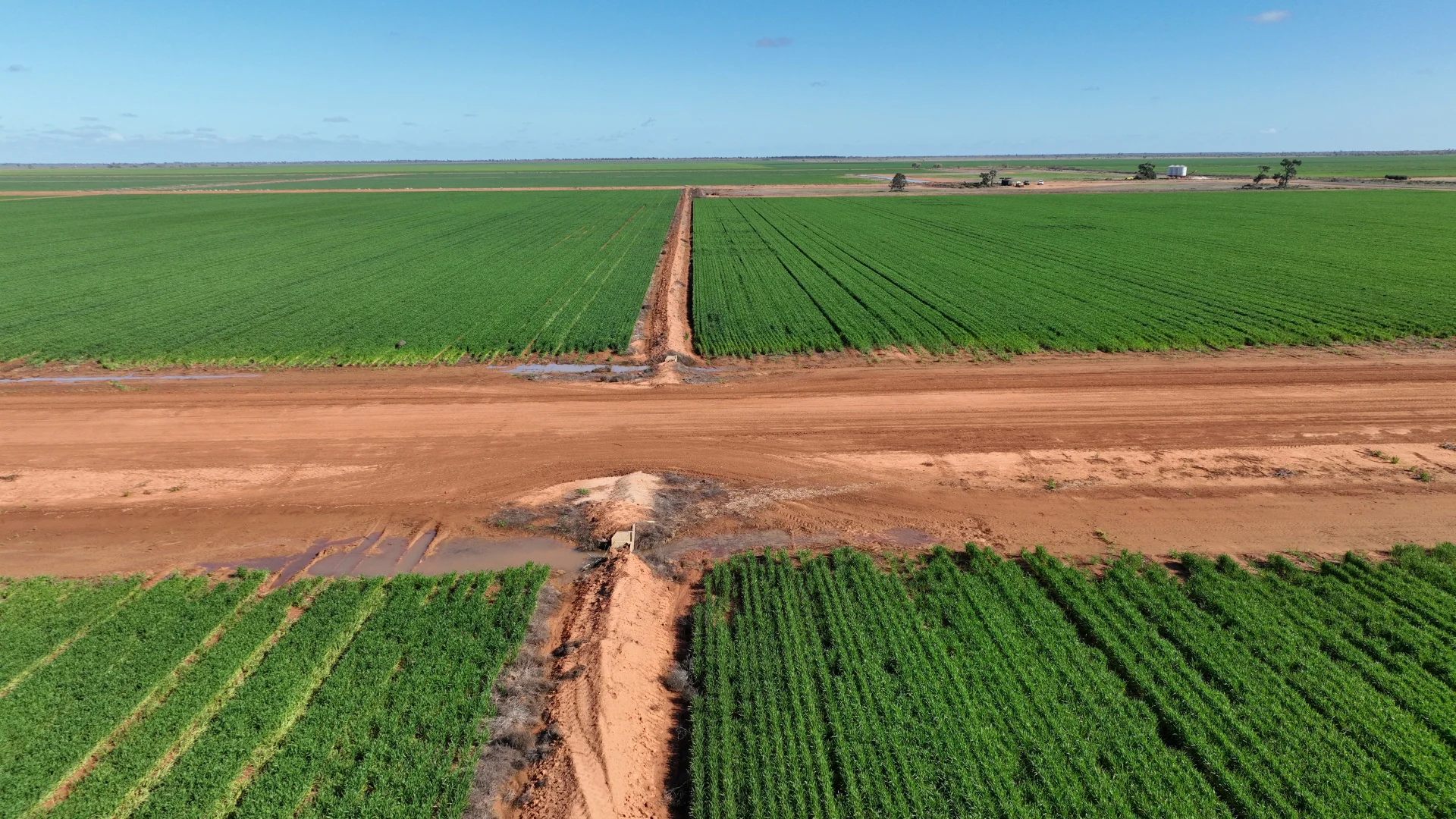 Additional image 23 of "Waringah" Mabins Well Road, Conargo NSW 2710