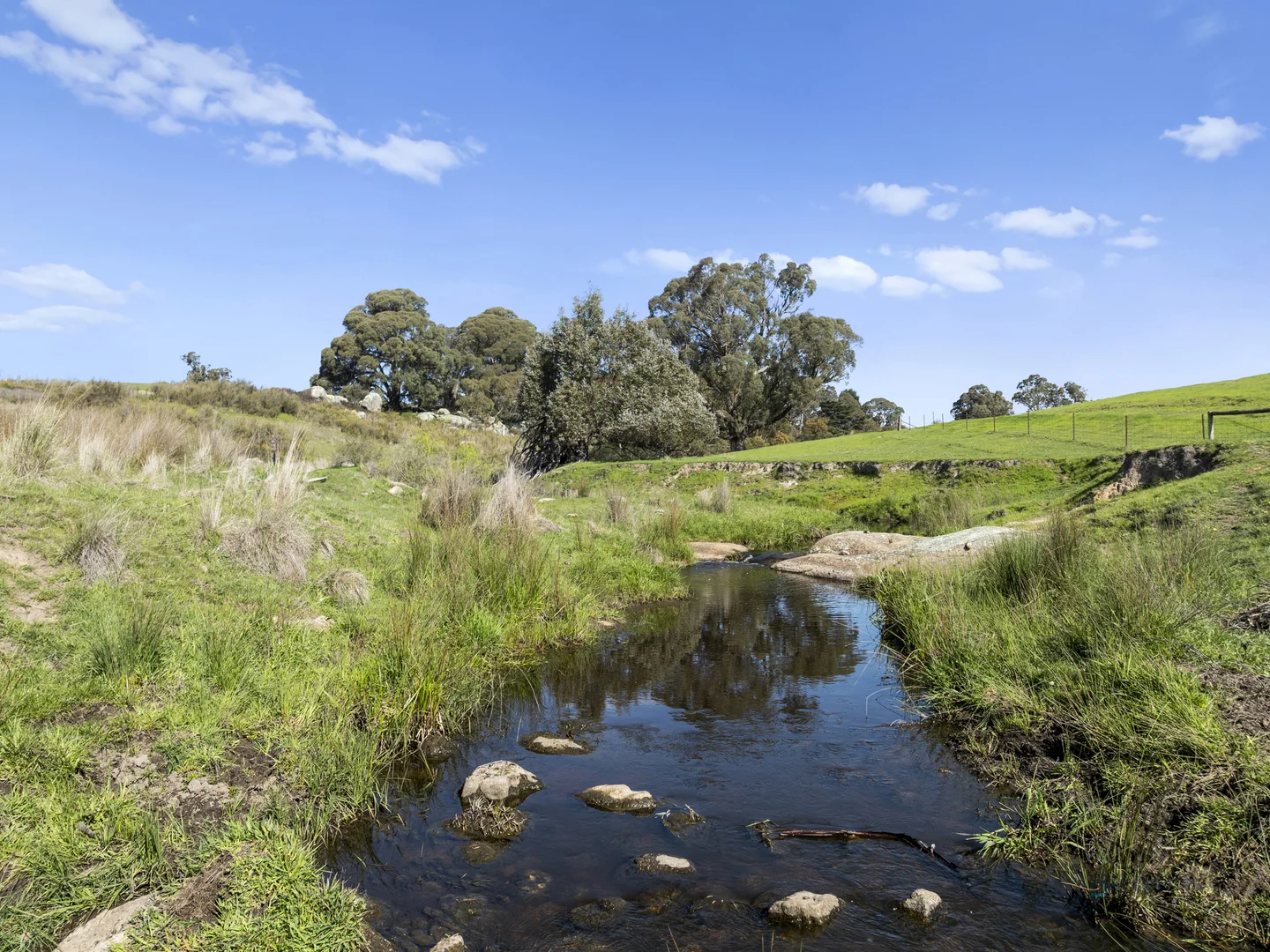 Additional image 15 of 99 Tames Road, Strathbogie VIC 3666
