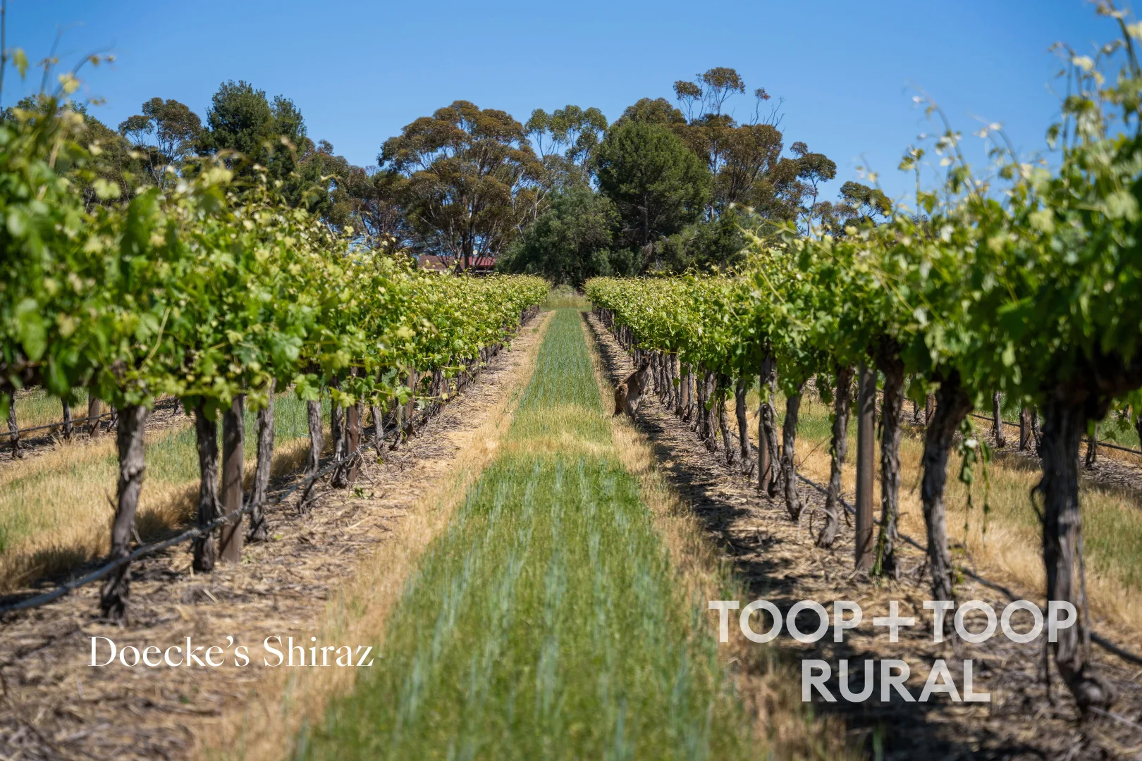 Additional image 7 of 303 Stonewell Road, Stone Well SA 5352