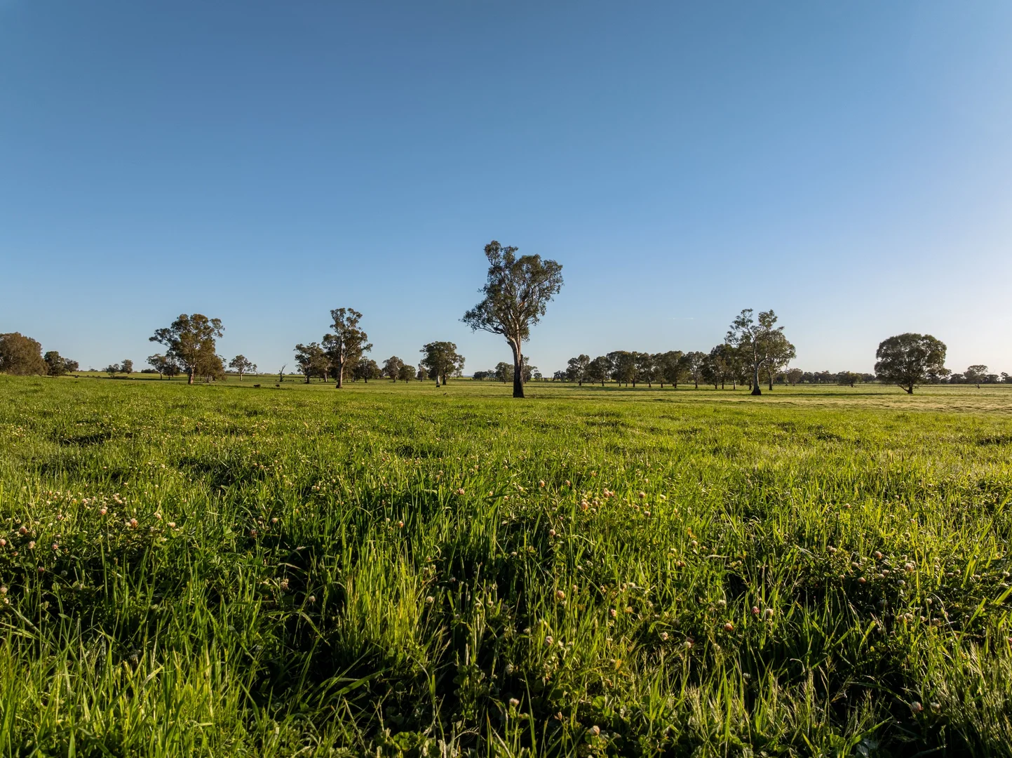 Additional image 32 of 6021 Riverina Highway, Hopefield NSW 2646
