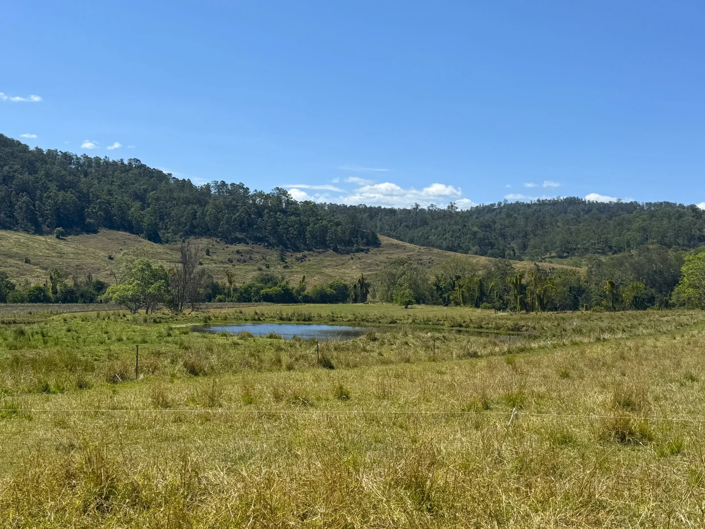 Additional image 24 of 1050 Afterlee Rd, Eden Creek NSW 2474