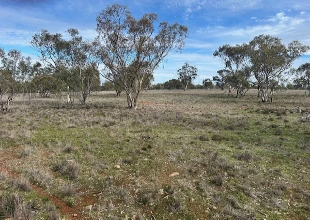 Additional image 11 of 418 Donaldsons Road, Corbie Hill NSW 2705