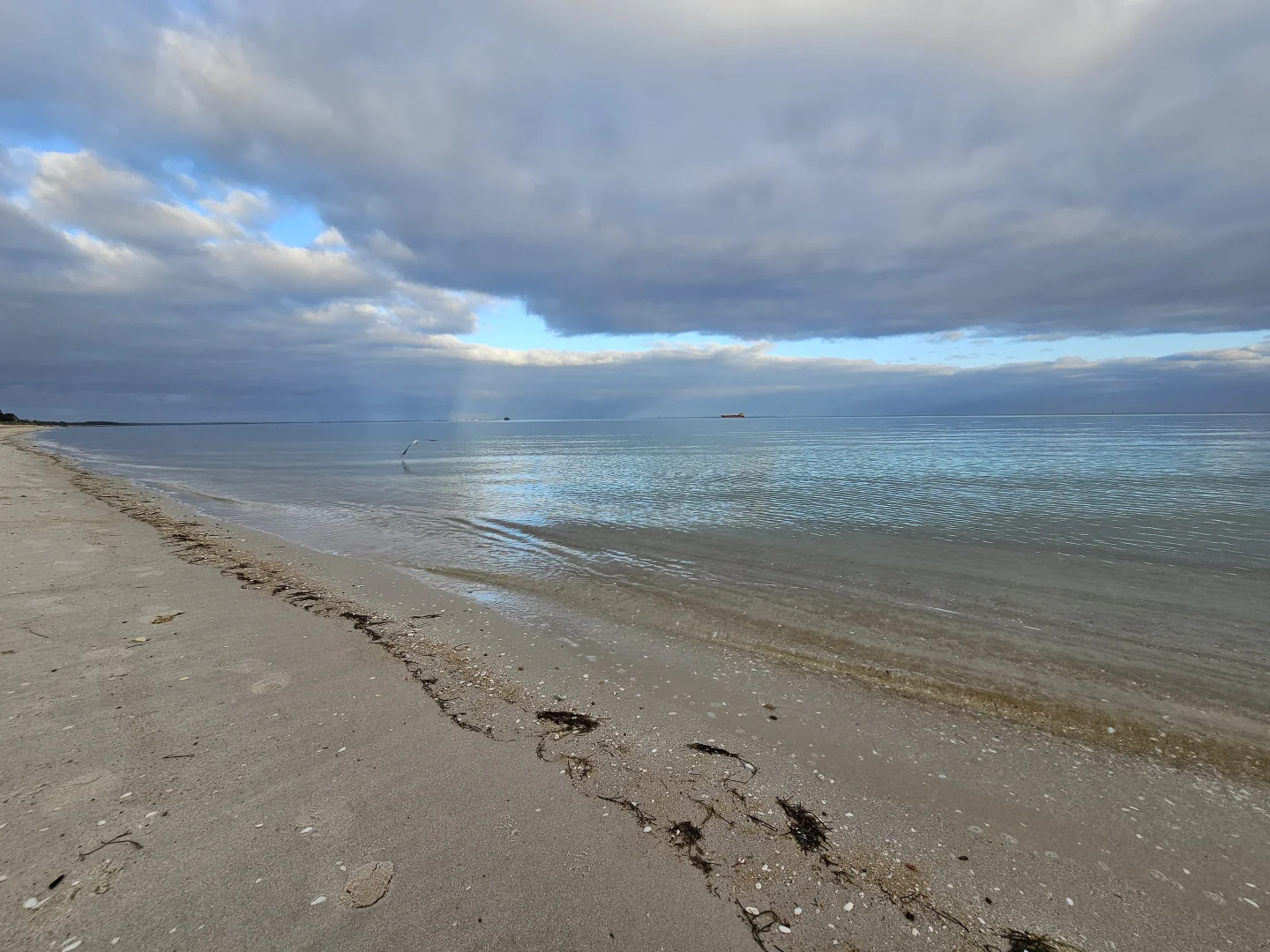 Additional image 20 of Boatshed 2 Dromana Foreshore, Dromana VIC 3936