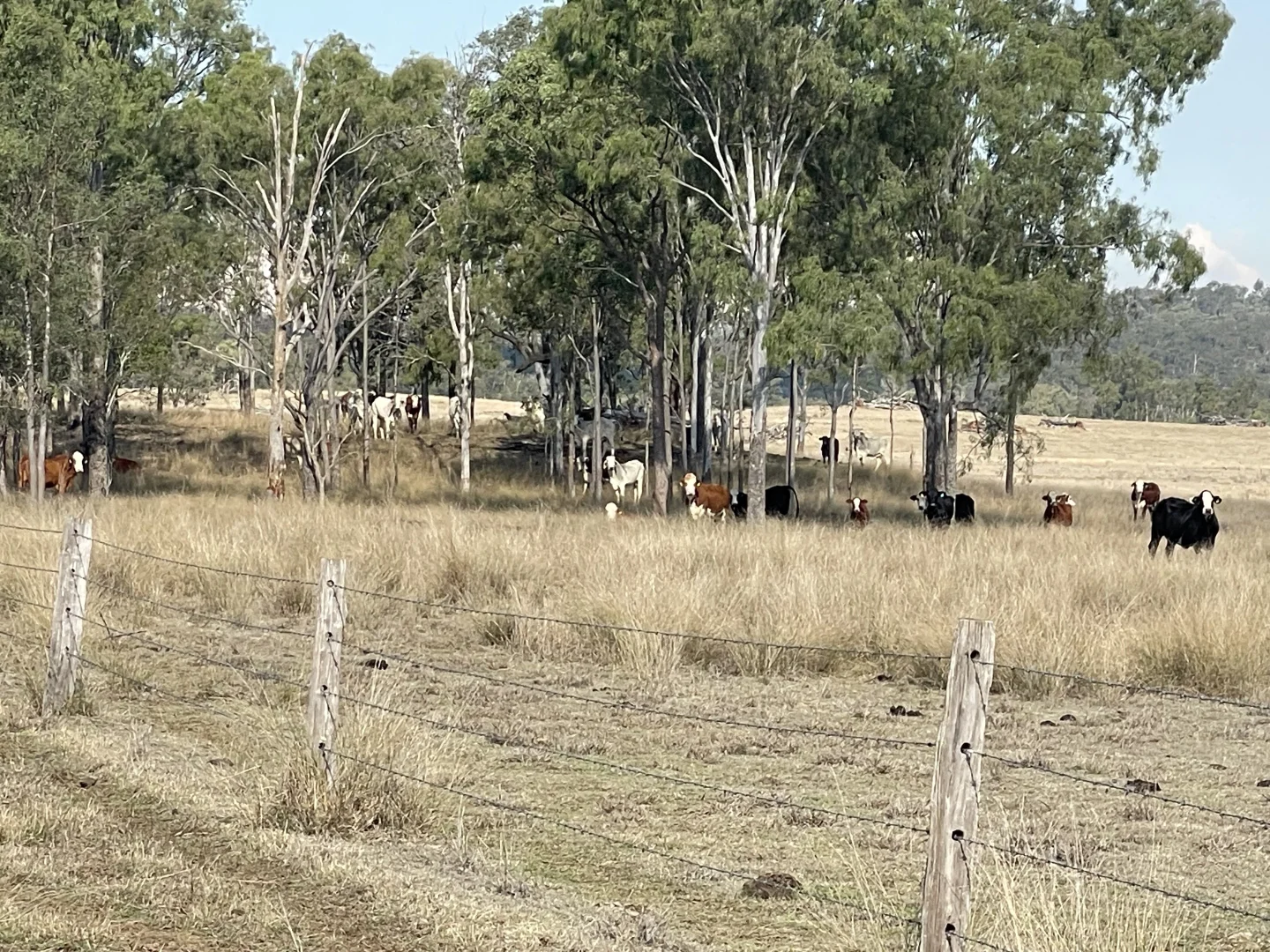 Additional image 8 of 95 Mount Perry Road, Tellebang QLD 4630