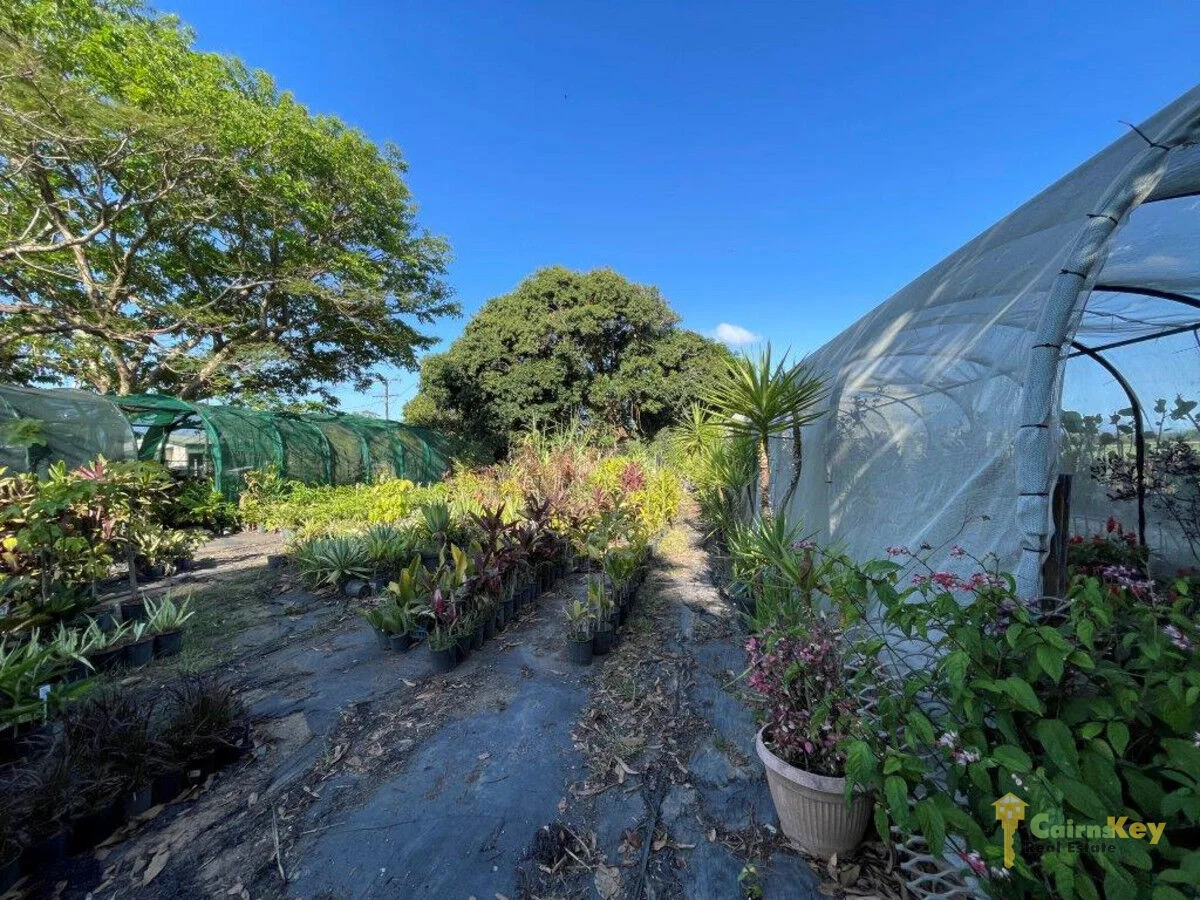 Additional image 9 of 45 Thomson Road, Edmonton QLD 4869