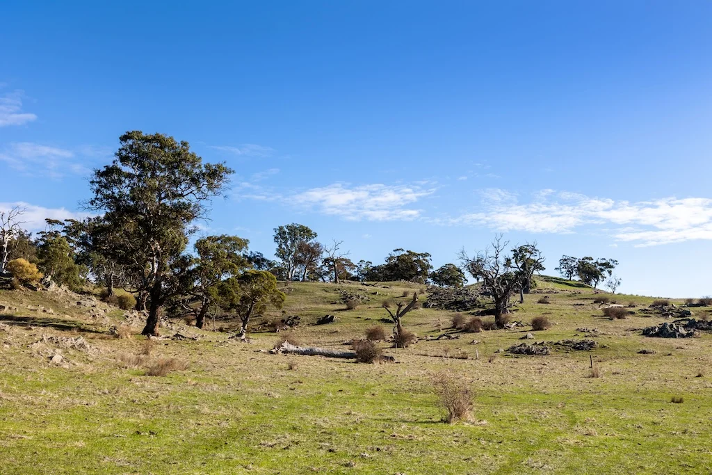 Additional image 5 of Peggy Hill Road, Eden Valley SA 5235