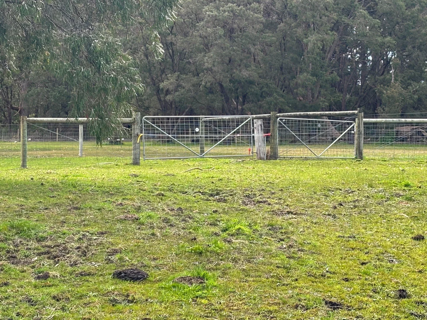 Additional image 7 of 132 Ocean Beach Road, Denmark WA 6333