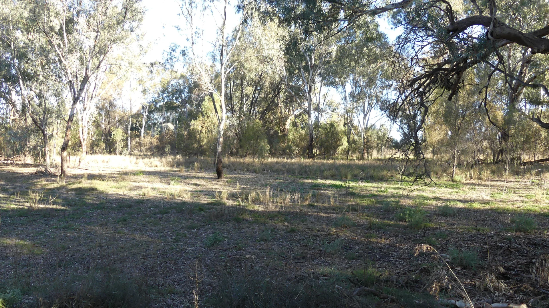 Additional image 2 of Lot 10 Oxley Highway, Warren NSW 2824