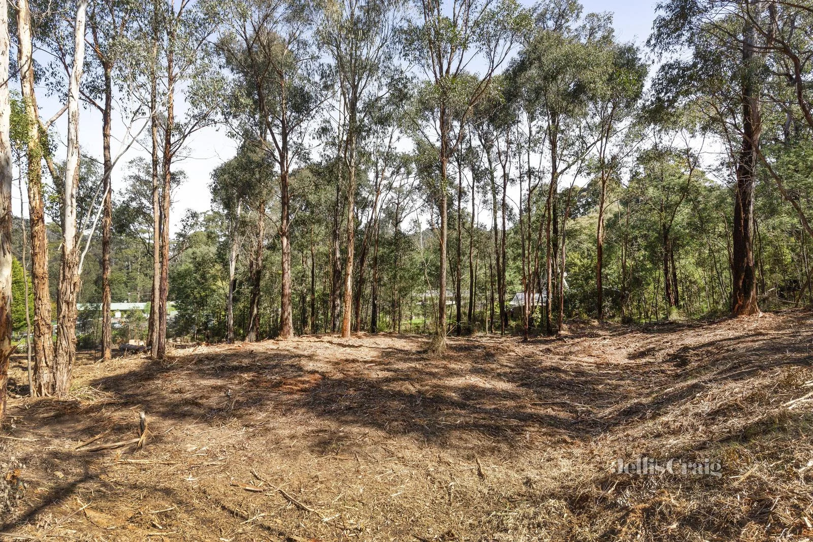 Additional image 5 of 37 Silver Parrot Road, Flowerdale VIC 3717