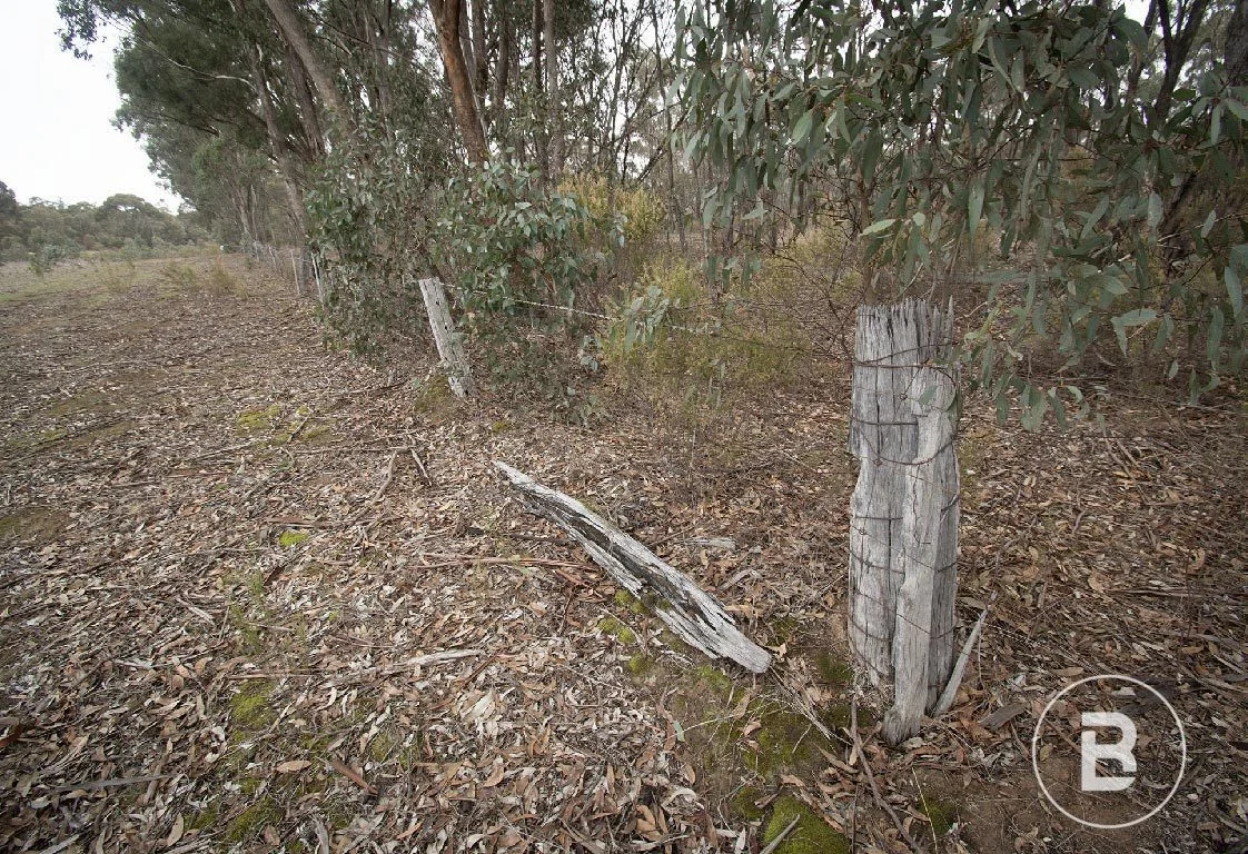 Additional image 16 of 163 Kicks Lane, Dunolly VIC 3472