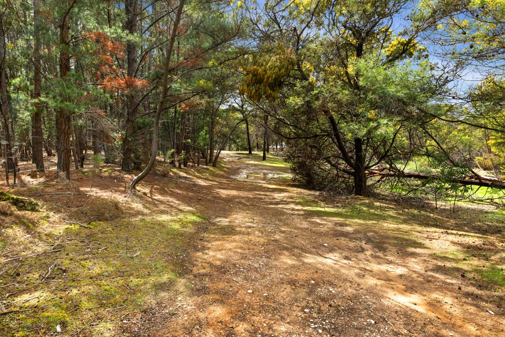 Additional image 8 of Creswick VIC 3363