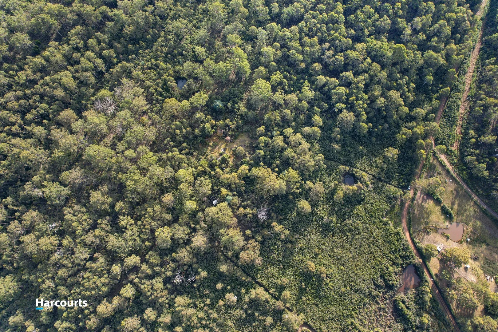 Additional image 11 of 110 Tongue Road, Hastings TAS 7109