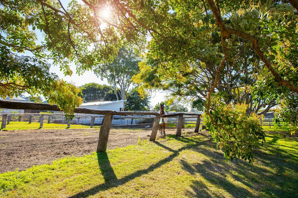 Additional image 8 of 12A Videroni St, Booval QLD 4304