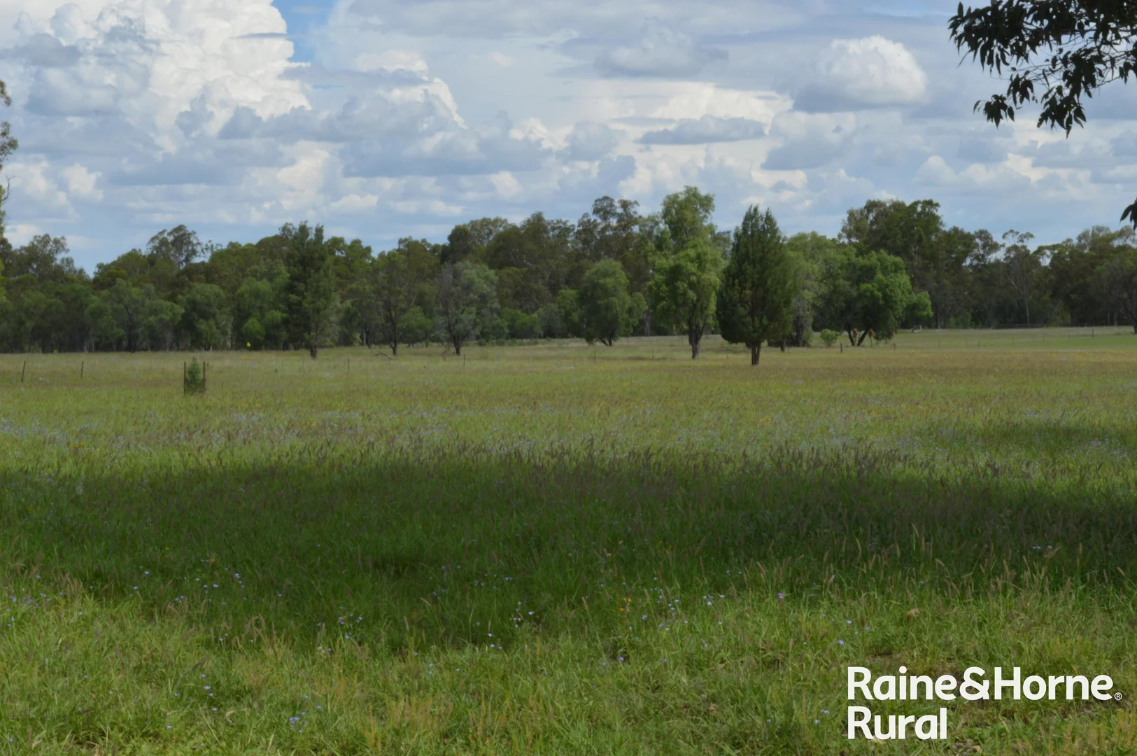 Additional image 24 of 189 Burtons Road, Orange Hill QLD 4455