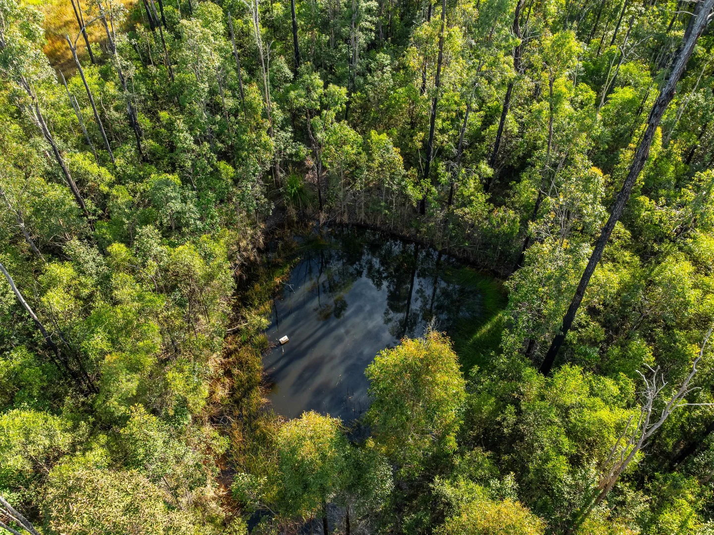 Additional image 6 of 2155 Myall Creek Road, West Bungawalbin NSW 2471