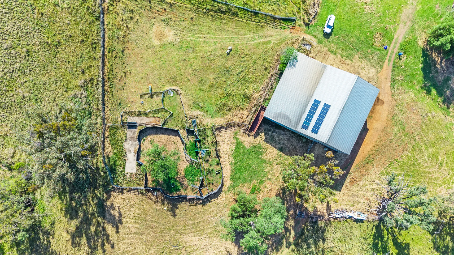 Additional image 11 of "Upper Forest View" 562 Wisemans Arm Road, Attunga NSW 2345