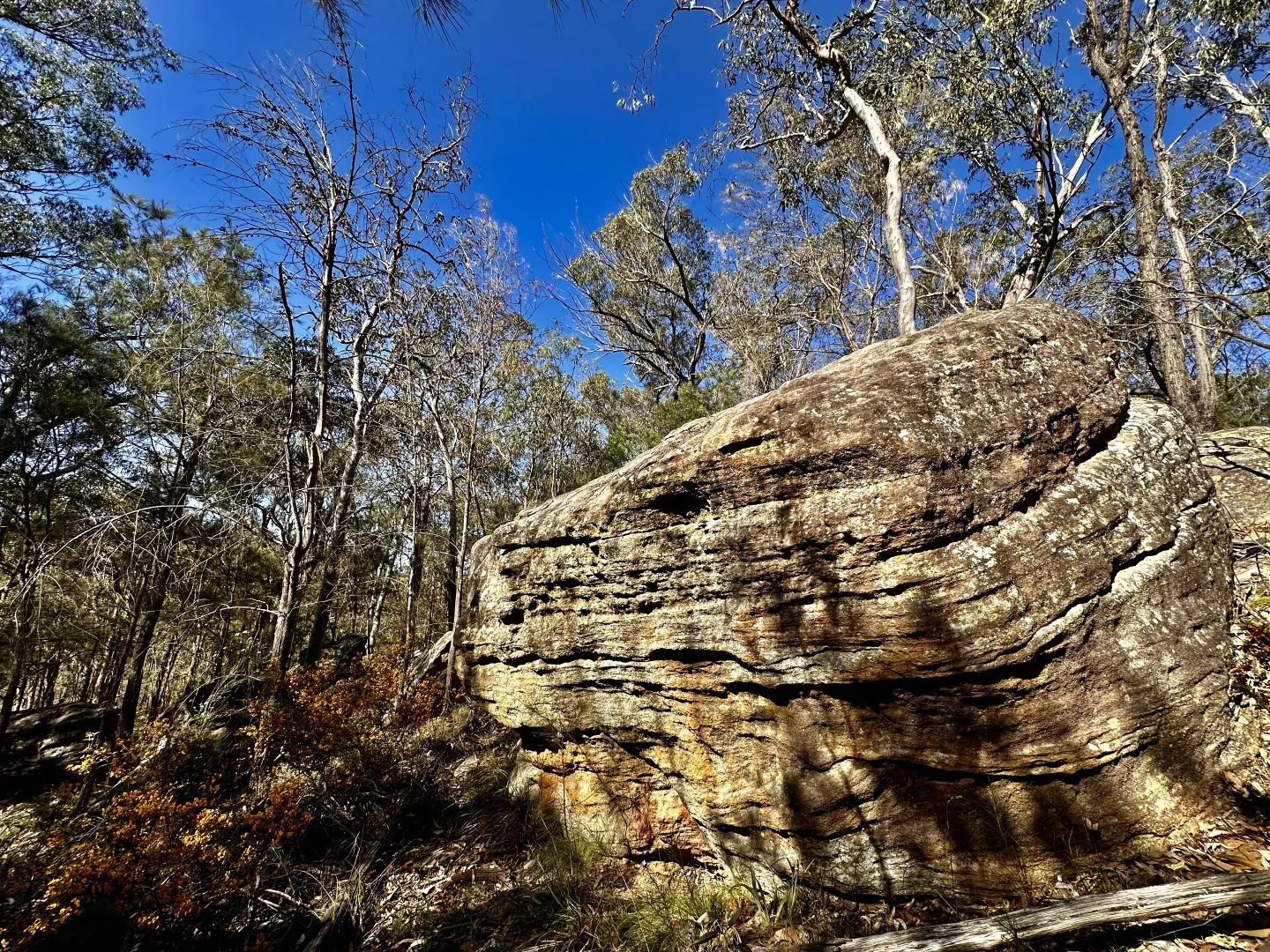 Additional image 25 of 3300 Great North Road, Wollombi NSW 2325