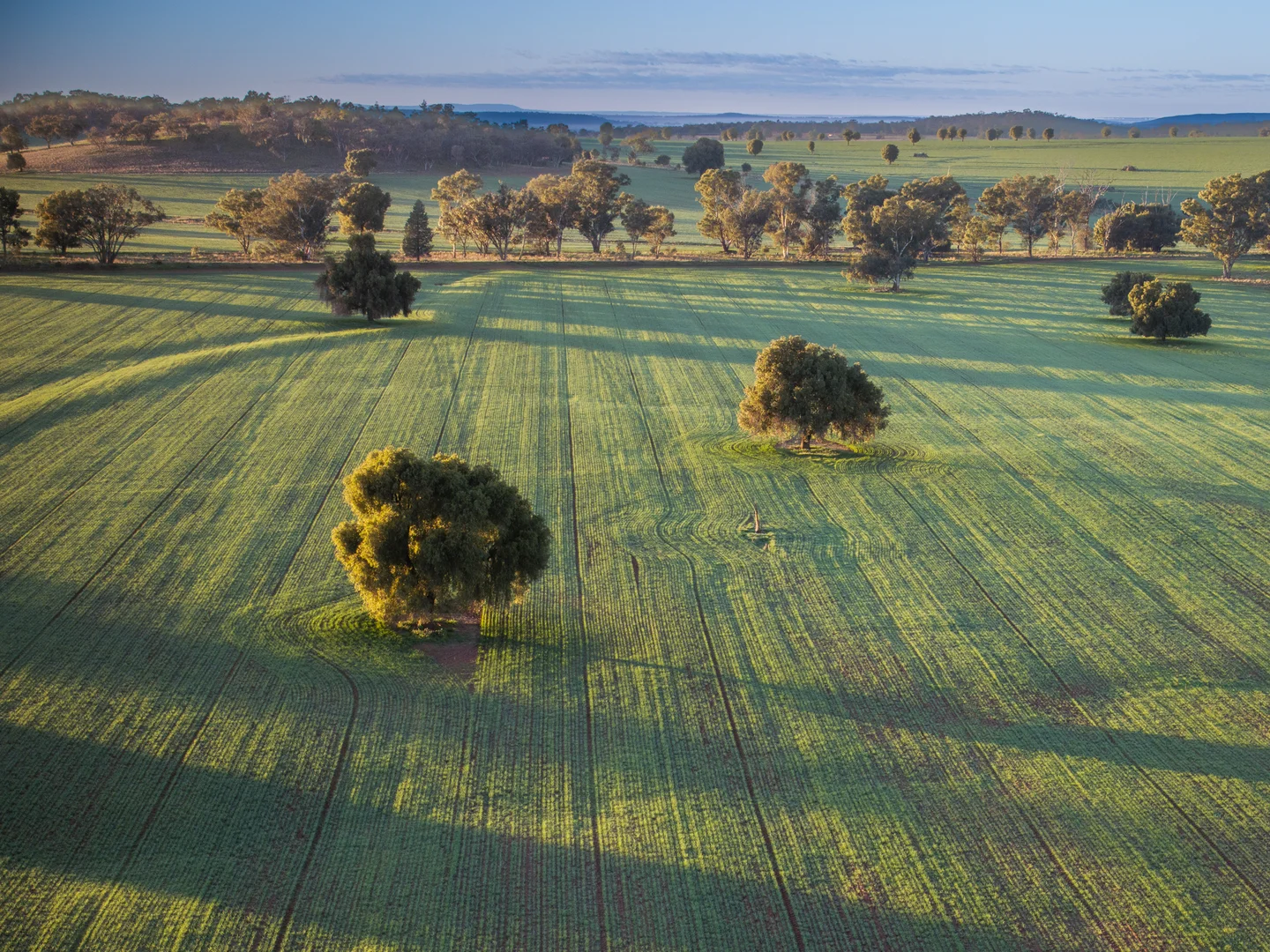 Additional image 17 of Ashford Heath 47 Adios Lane, Bogan Gate NSW 2876