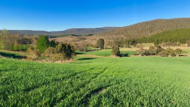 Additional image 12 of 4782 Jerangle Road, Captains Flat NSW 2623