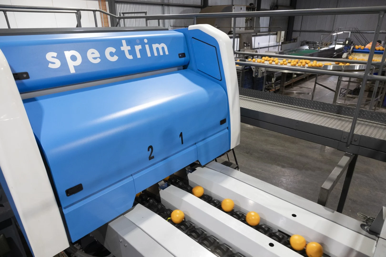 Additional image 18 of 203 Payten Road, Corbie Hill NSW 2705