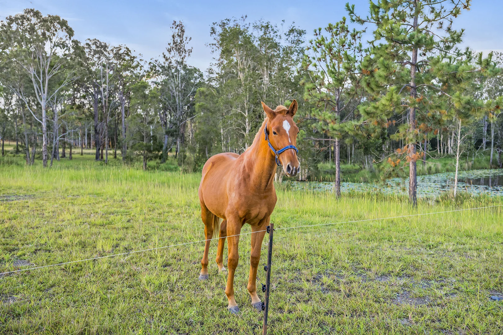 Additional image 3 of 34B Yabsleys Lane, South Kempsey NSW 2440