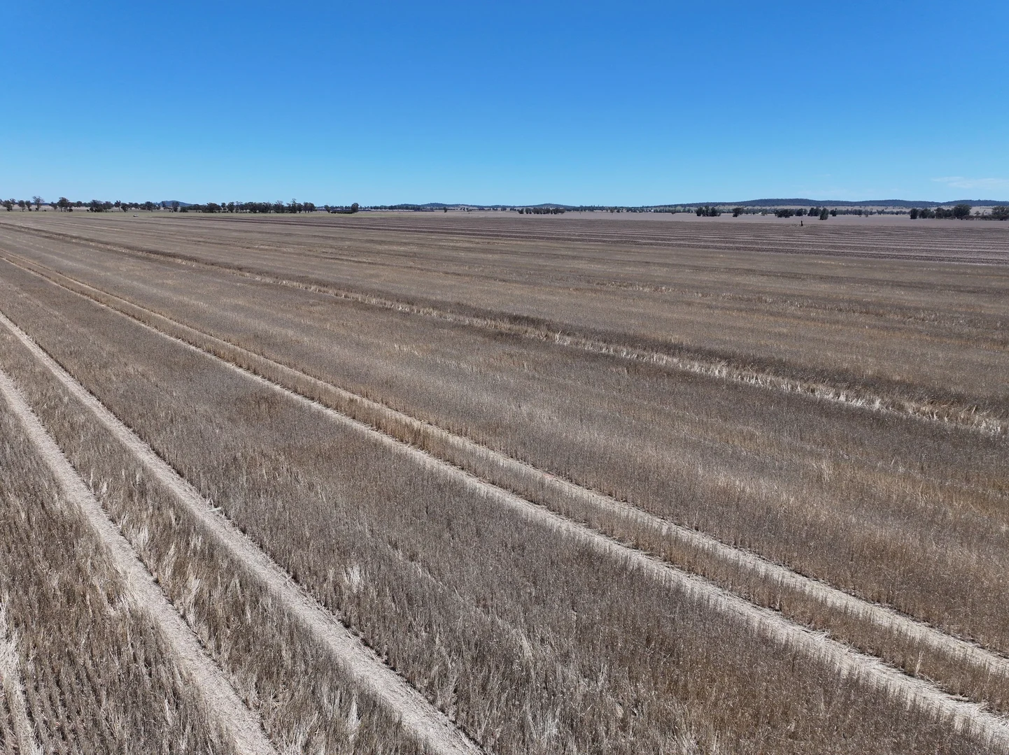 Additional image 8 of "Glen Avon" 99 Davies Lane, Caragabal NSW 2810