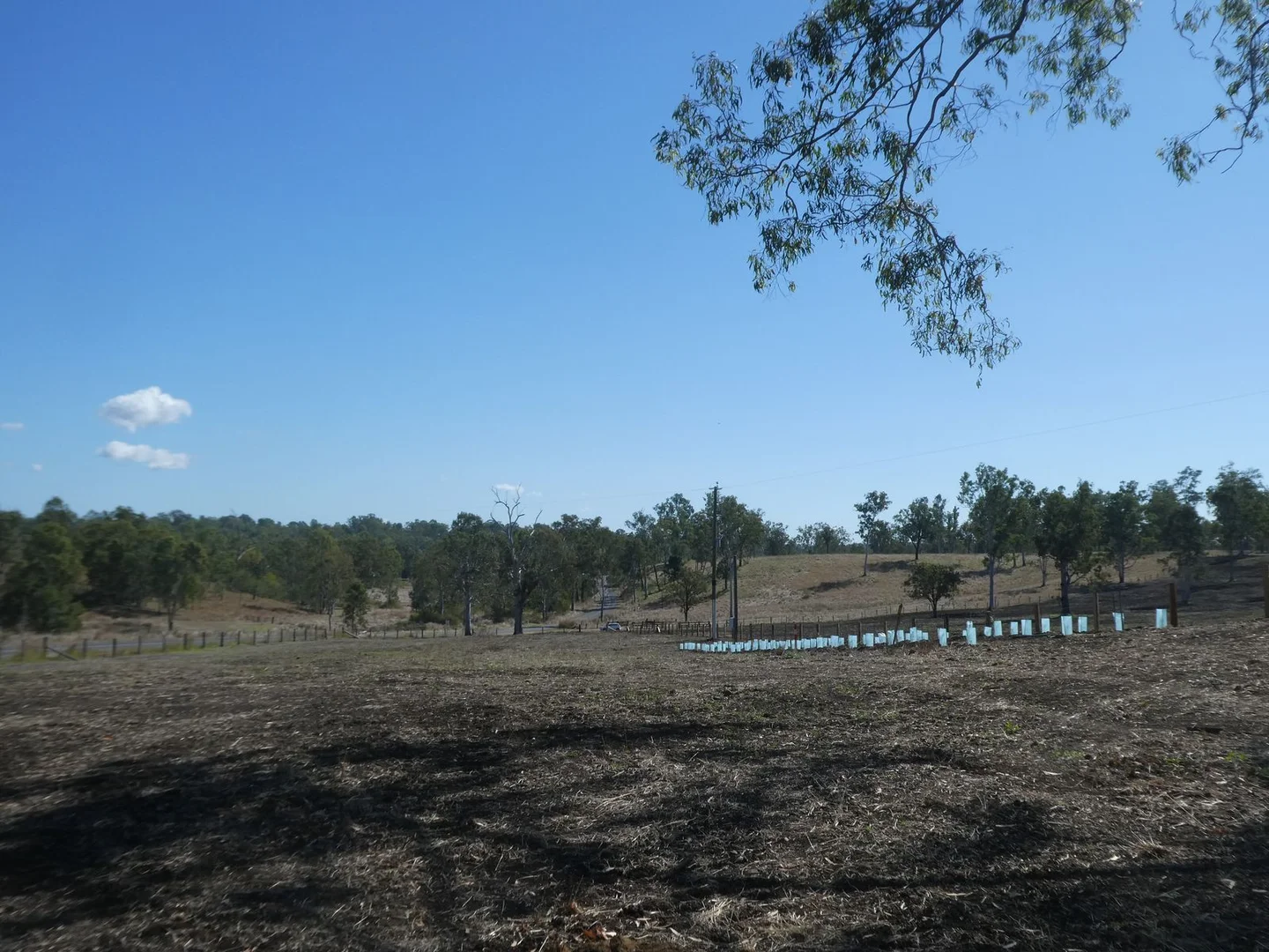 Additional image 8 of Lot 23 Walla Road, Morganville QLD 4671