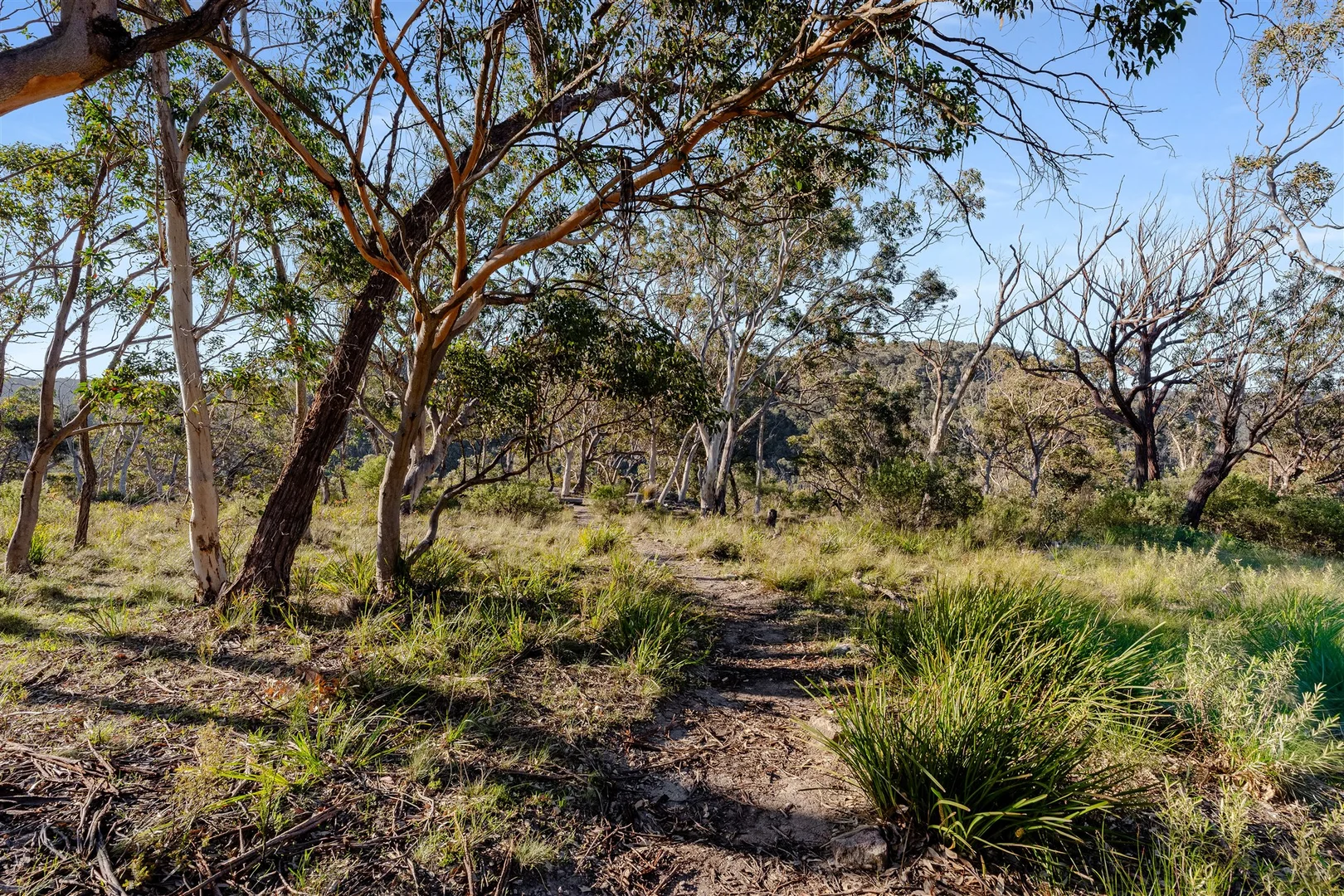 Additional image 32 of Belanglo NSW 2577