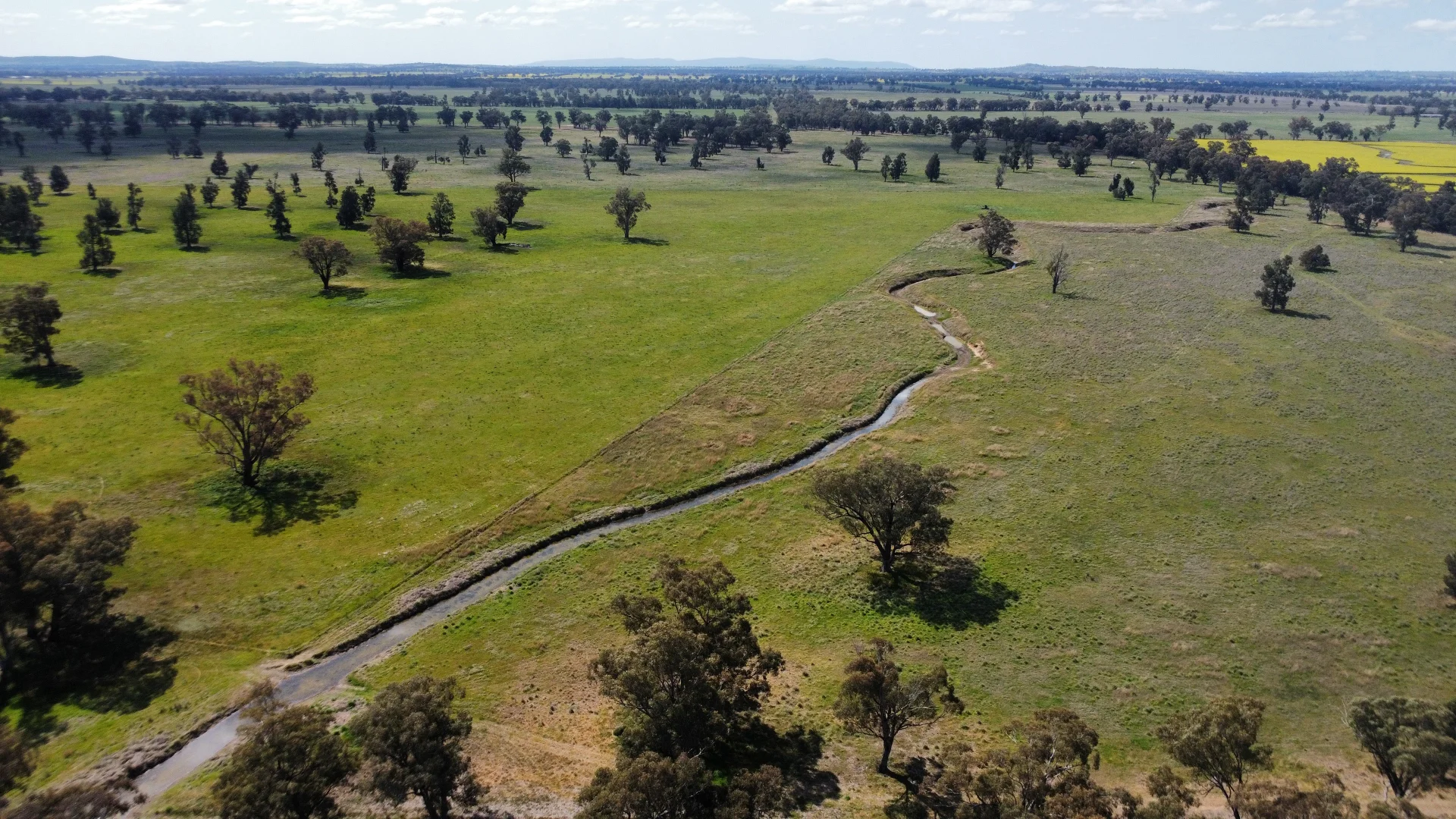 Additional image 40 of 1843 Yeo Yeo Hampstead Road, Young NSW 2594