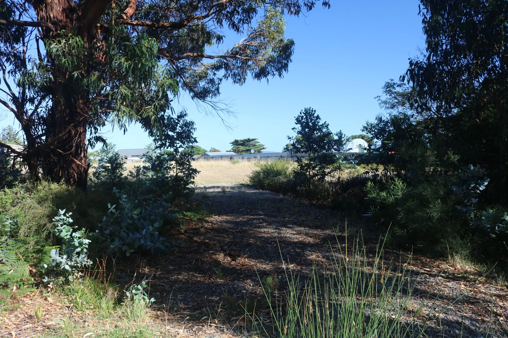 Additional image 14 of 4 Barr Street, Lady Barron TAS 7255