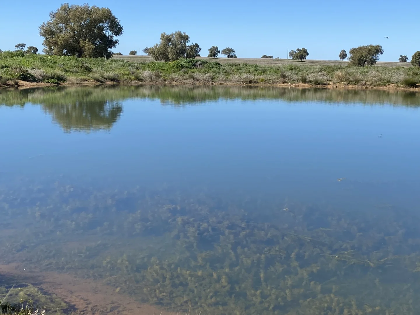 Additional image 36 of 492 Eremeran Road, Condobolin NSW 2877