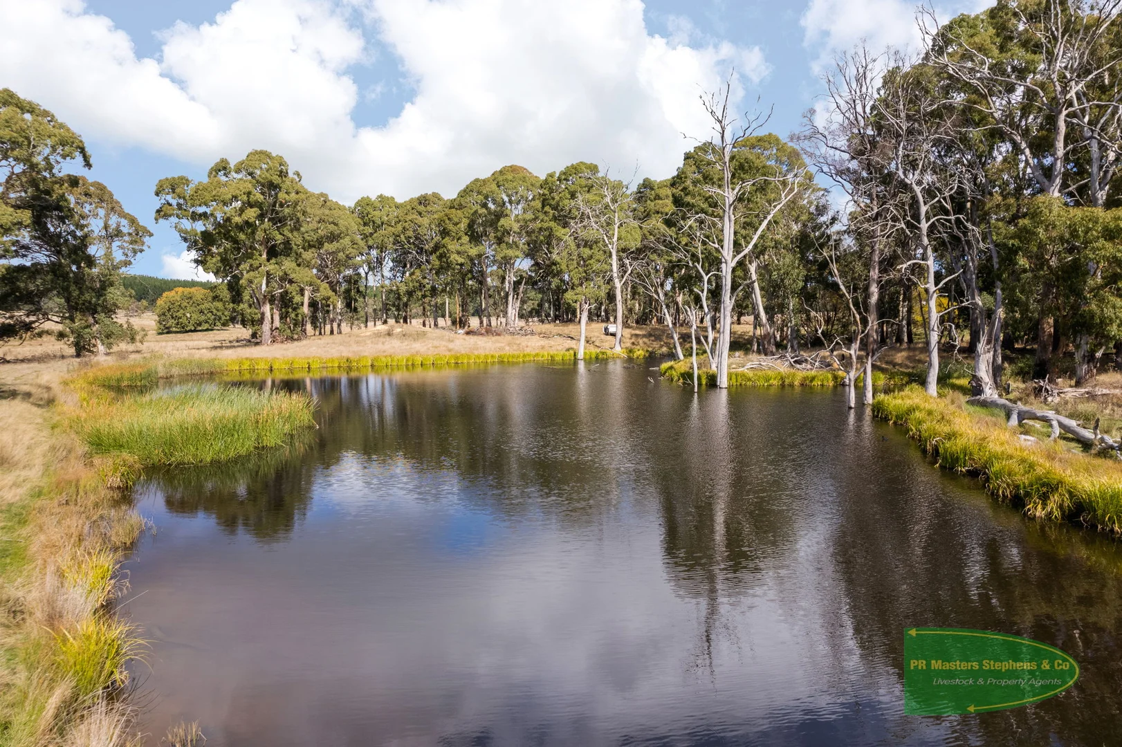 Additional image 32 of 800 Riverview Forest Road, Mozart NSW 2787