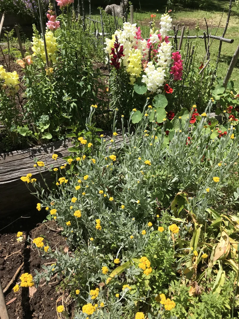 Additional image 19 of 1534 Mount Macedon Road Macedon, Macedon VIC 3440