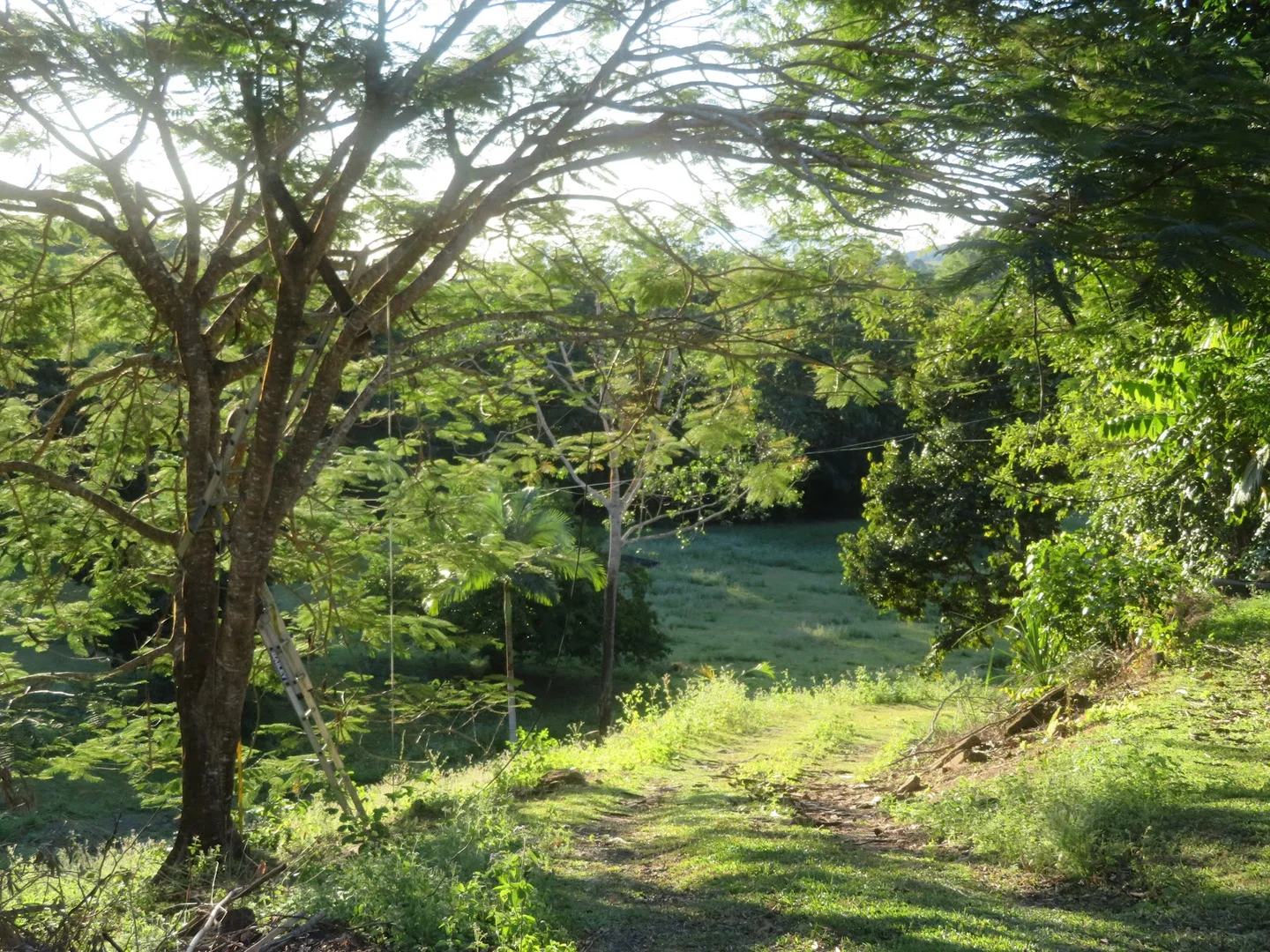 Additional image 6 of 364 Coquette Point Road, Coquette Point QLD 4860