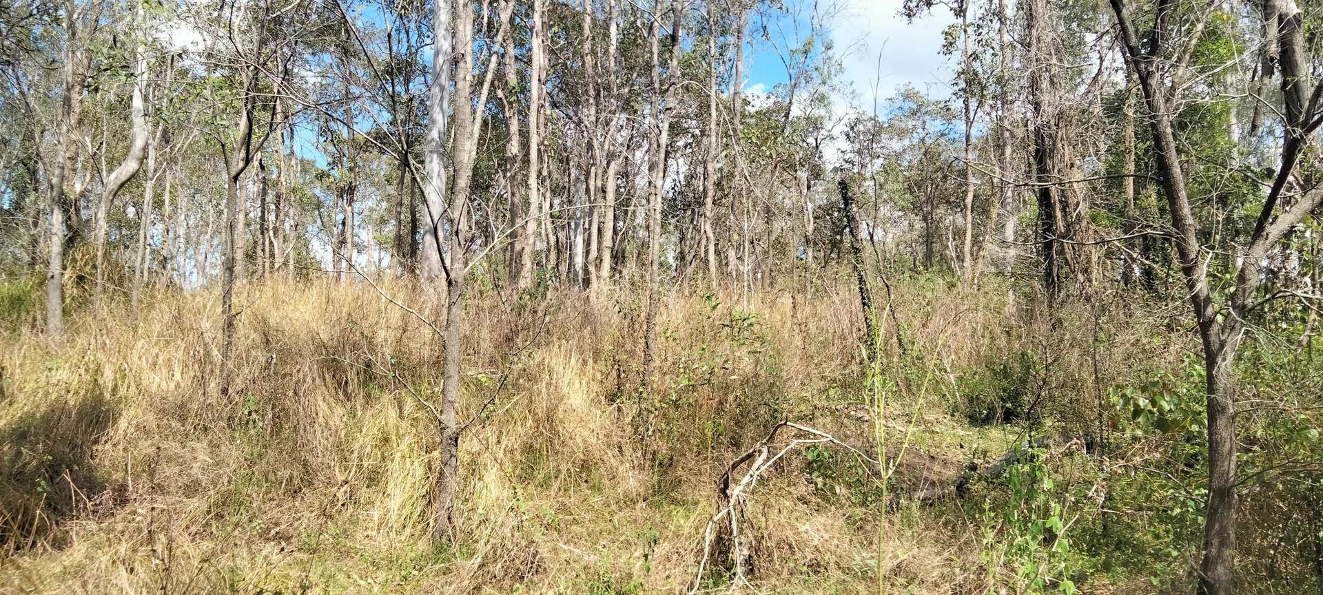 Additional image 9 of 3359 Lowmead Road, Lowmead QLD 4676