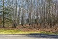 Additional image 4 of 1183 Kevin Blvd, Endicott, NY, 13760