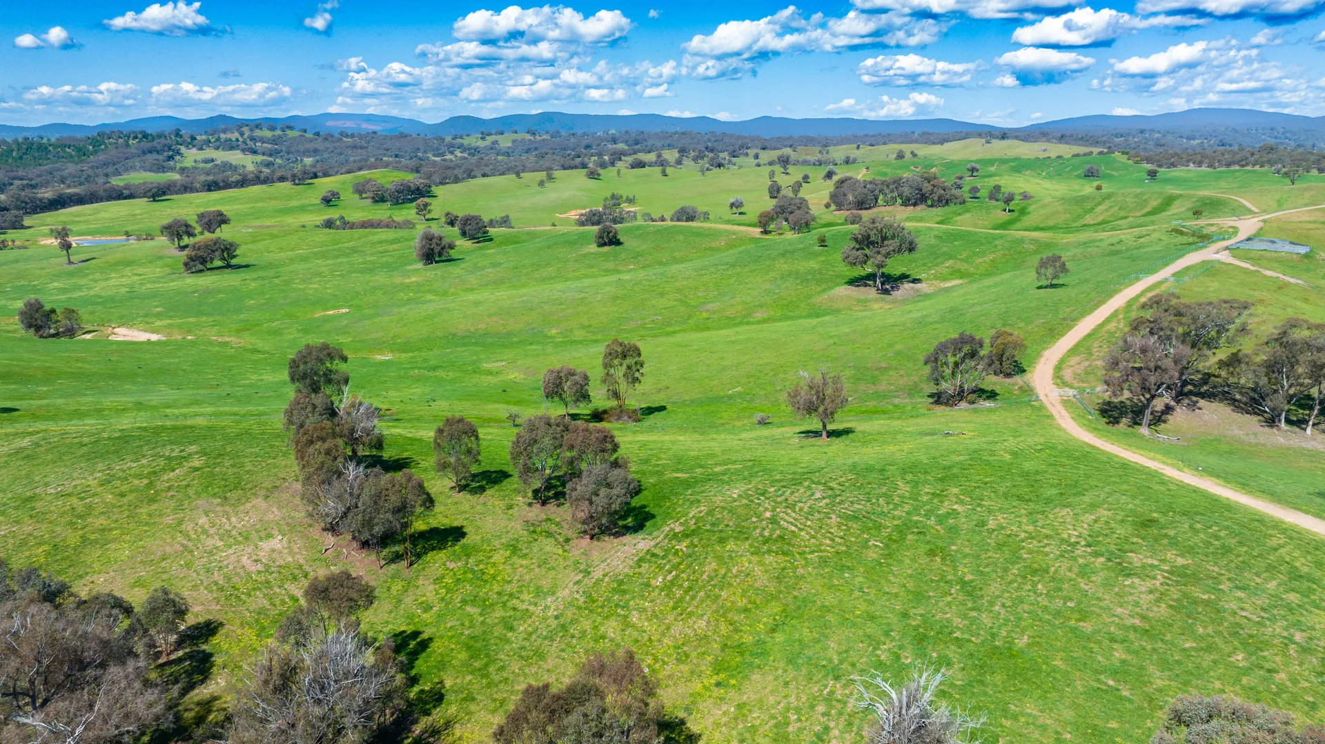 Additional image 9 of 13759 Hume Highway, Mullengandra NSW 2644
